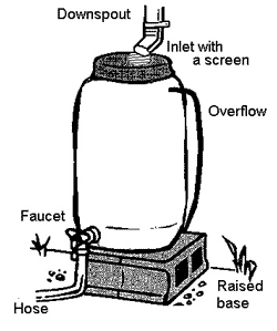 rain barrel graphic