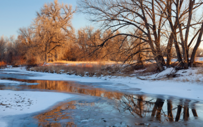 February 2022 River Citizen Newsletter