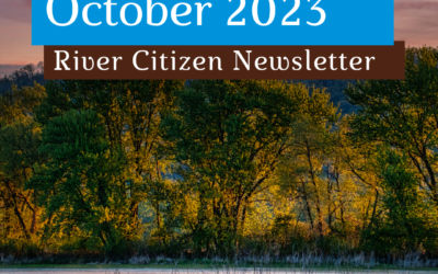 October RC Newsletter